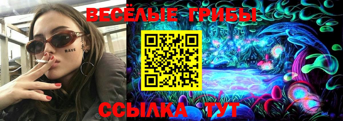 Реутов  Псилоцибиновые грибы Cubensis  сколько стоит  Вход с VPN  Псилоцибиновые грибы MAGIC MUSHROOMS 