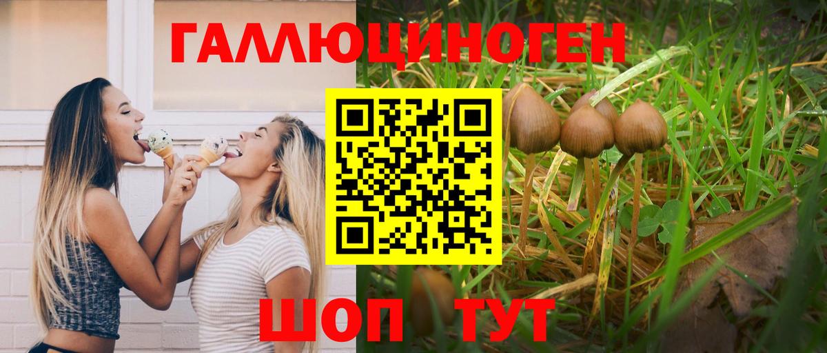 Псилоцибиновые грибы MAGIC MUSHROOMS Реутов
